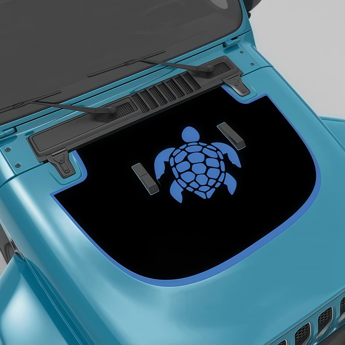 Sea Turtle