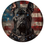 The Azure Defender Badge Spare Tire Cover