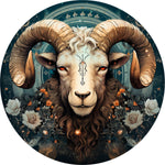 Aries Spare Tire Cover