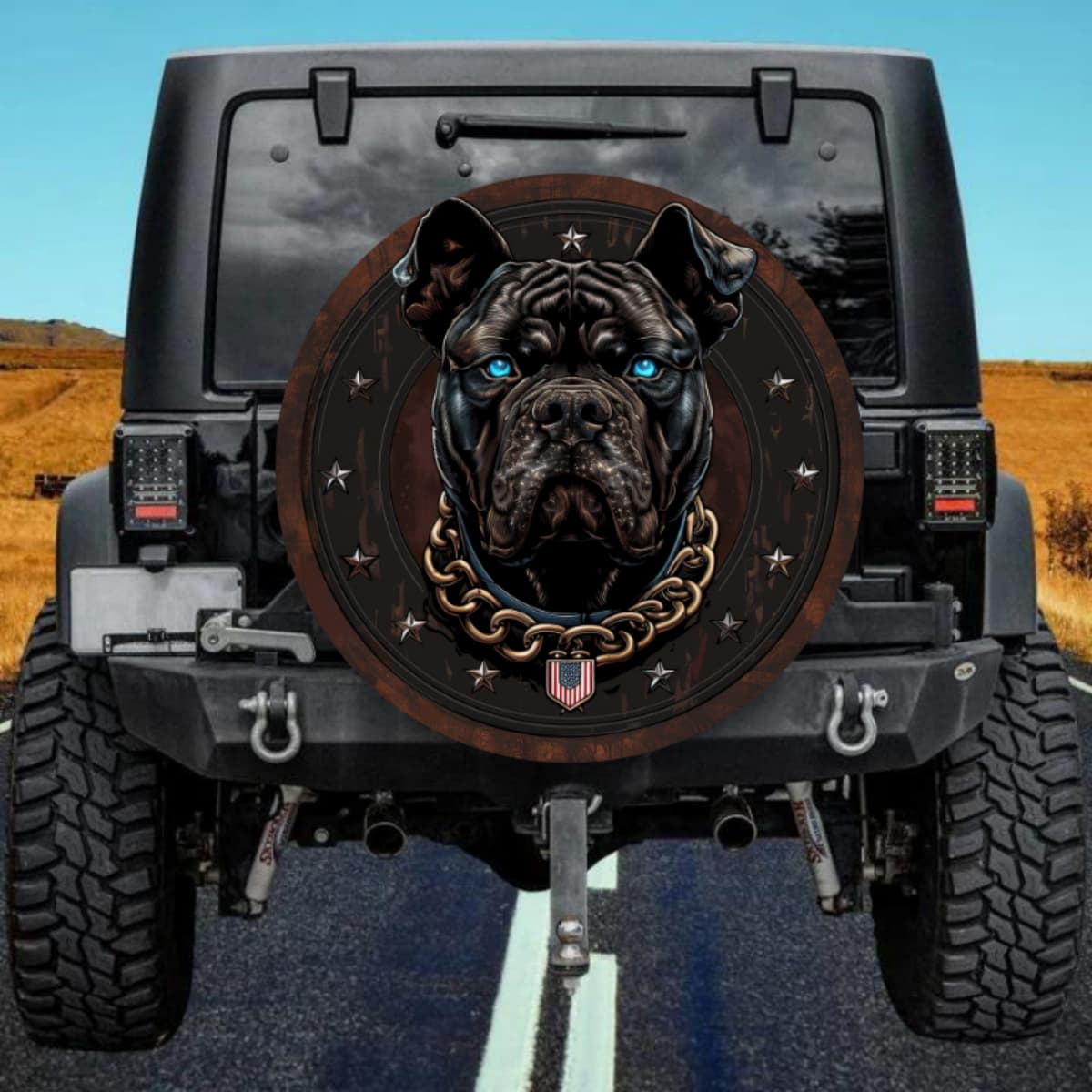 Star-Studded Sentry Heritage Spare Tire Cover