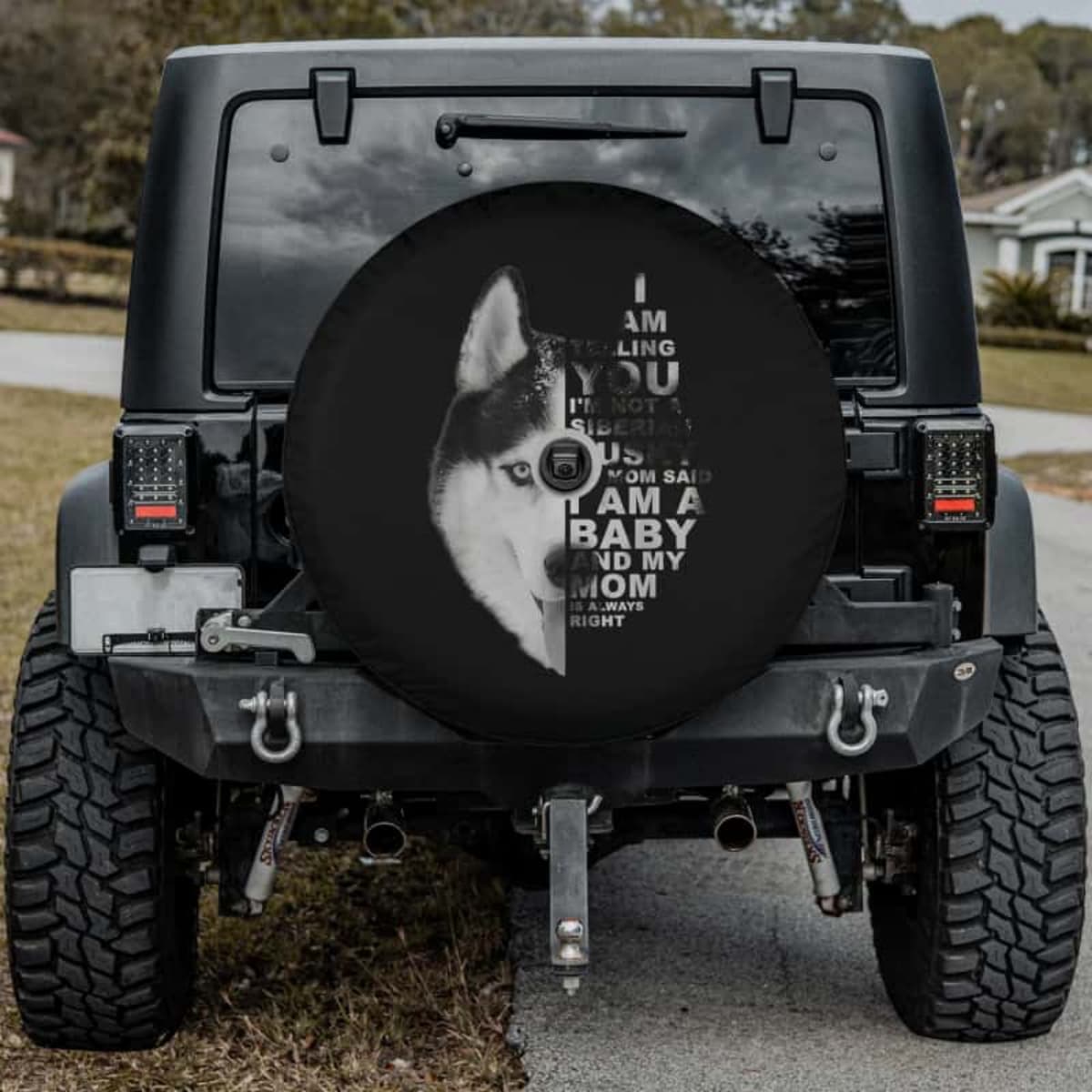 I'm Just A Baby Spare Tire Cover